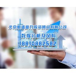 北京鼎盛投資顧問(wèn)公司企業(yè)項(xiàng)目數(shù)據(jù)分析與風(fēng)險(xiǎn)控制策略報(bào)告